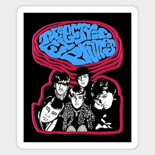 The Electric Prunes Magnet